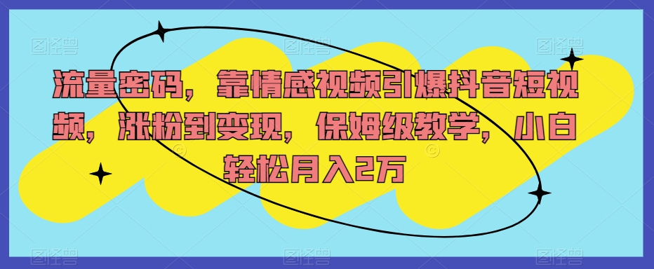 流量密码，靠情感视频引爆抖音短视频，涨粉到变现，保姆级教学，小白轻松月入2万【揭秘】-甬战资源库