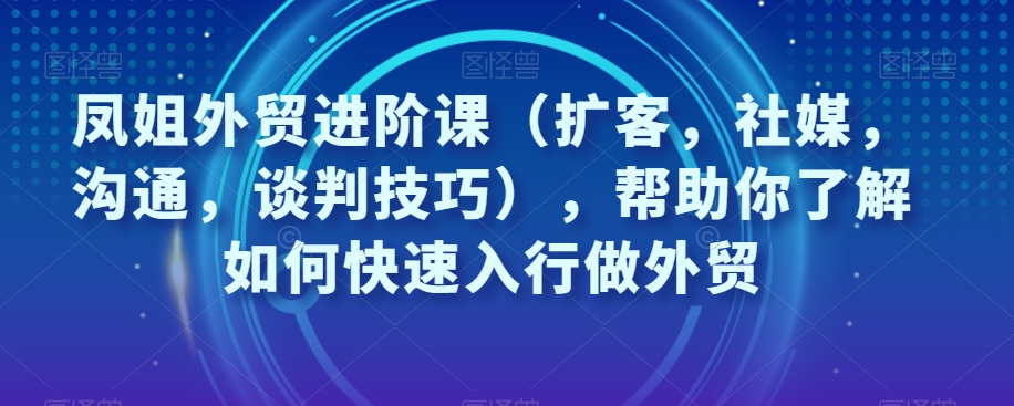凤姐外贸进阶课（扩客，社媒，沟通，谈判技巧），帮助你了解如何快速入行做外贸-甬战资源库
