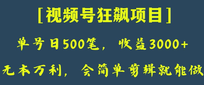 日收款500笔，纯利润3000+，视频号狂飙项目，会简单剪辑就能做【揭秘】-甬战资源库