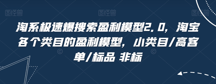 淘系极速爆搜索盈利模型2.0，淘宝各个类目的盈利模型，小类目/高客单/标品 非标-甬战资源库