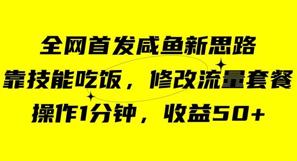 咸鱼冷门新玩法，靠“技能吃饭”，修改流量套餐，操作1分钟，收益50【揭秘】-甬战资源库