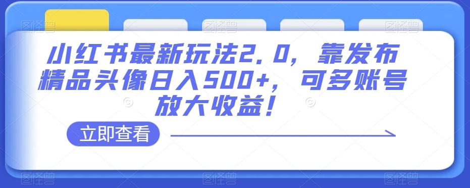 小红书最新玩法2.0，靠发布精品头像日入500+，可多账号放大收益！【揭秘】-甬战资源库