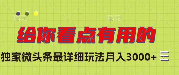 独家微头条最详细玩法，月入3000+【揭秘】-甬战资源库