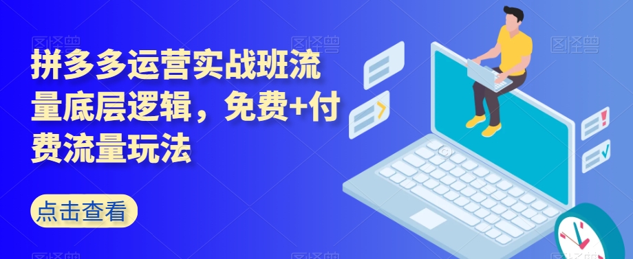 拼多多运营实战班流量底层逻辑，免费+付费流量玩法-甬战资源库