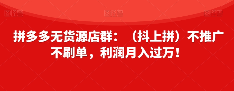 拼多多无货源店群：（抖上拼）不推广不刷单，利润月入过万！【揭秘】-甬战资源库