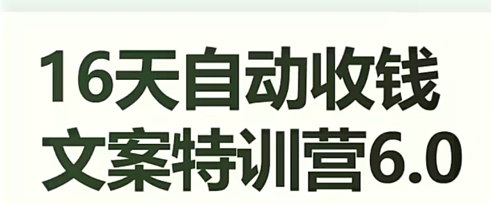 16天自动收钱文案特训营6.0，学会儿每天自动咔咔收钱-甬战资源库