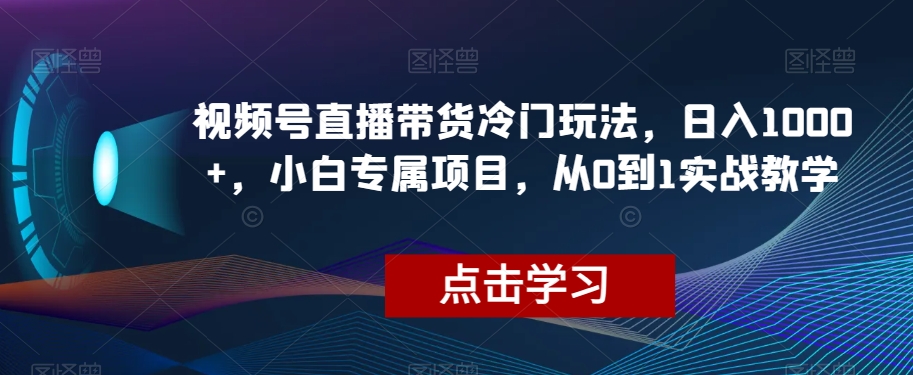 视频号直播带货冷门玩法，日入1000+，小白专属项目，从0到1实战教学【揭秘】-甬战资源库