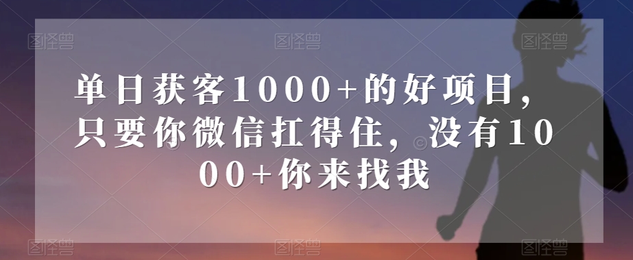 单日获客1000+的好项目，只要你微信扛得住，没有1000+你来找我【揭秘】-甬战资源库