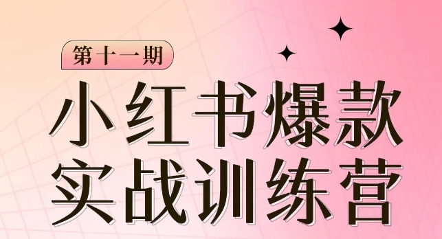 小红书博主爆款训练营第11期，手把手教你从0-1做小红书，从定位到起号到变现-甬战资源库