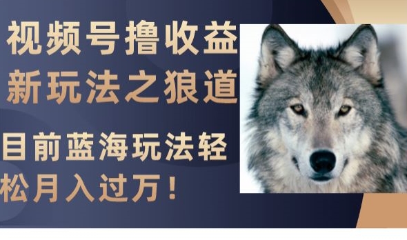 视频号撸收益新玩法之狼道，目前蓝海玩法，轻松月入过万【揭秘】-甬战资源库