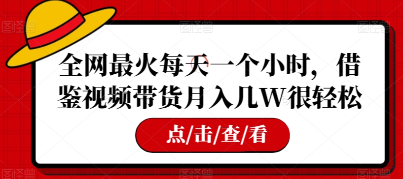 全网最火每天一个小时，借鉴视频带货月入几W很轻松【揭秘】-甬战资源库