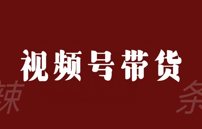 视频号带货联盟，赚信息差的带货钱，只需手机随时随地都可以做！-甬战资源库