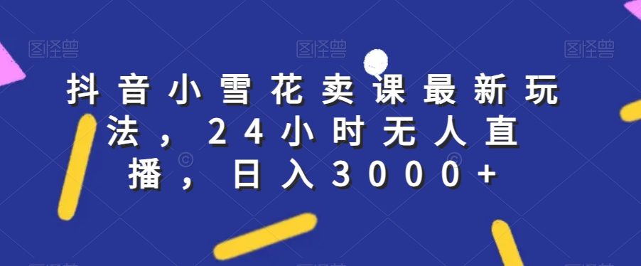 抖音小雪花卖课最新玩法，24小时无人直播，日入3000+【揭秘】-甬战资源库