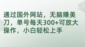 通过国外网站，无脑赚美刀，单号每天300+可放大操作，小白轻松上手【揭秘】-甬战资源库