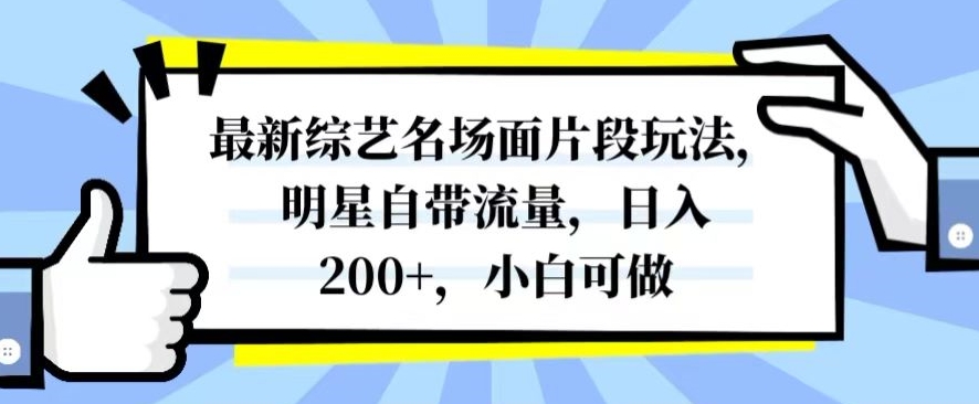 最新综艺名场面片段玩法，明星自带流量，日入200+，小白可做【揭秘】-甬战资源库