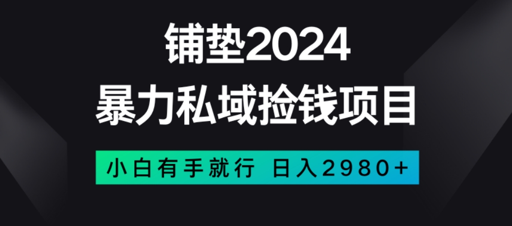 暴力私域捡钱项目，小白无脑操作，日入2980【揭秘】-甬战资源库