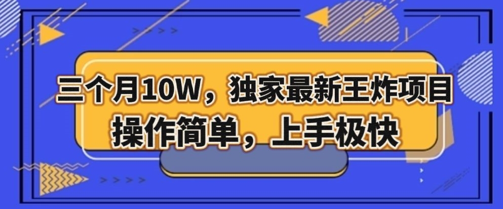 三个月10W，独家最新王炸项目！操作简单，上手极快【揭秘】-甬战资源库