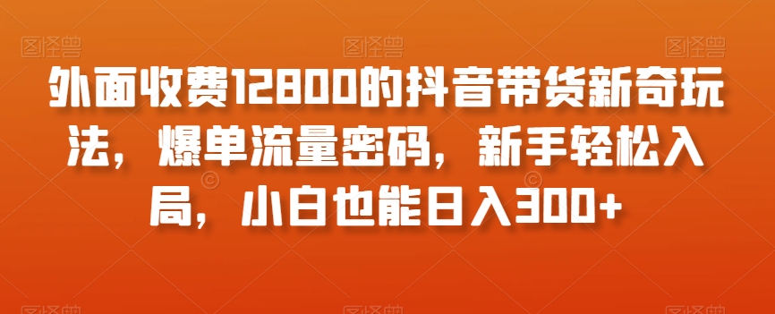 外面收费12800的抖音带货新奇玩法，爆单流量密码，新手轻松入局，小白也能日入300+【揭秘】-甬战资源库