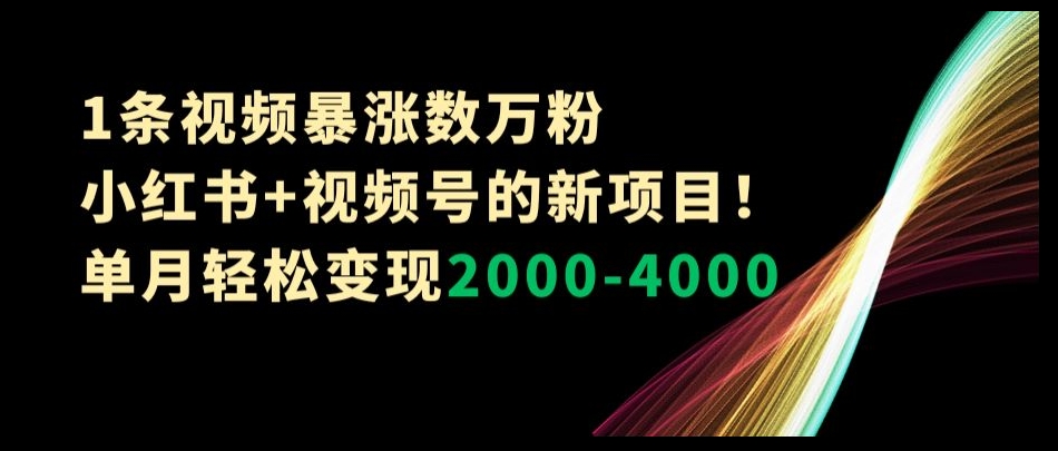 1条视频暴涨数万粉–小红书+视频号的新项目！单月轻松变现2000-4000【揭秘】-甬战资源库