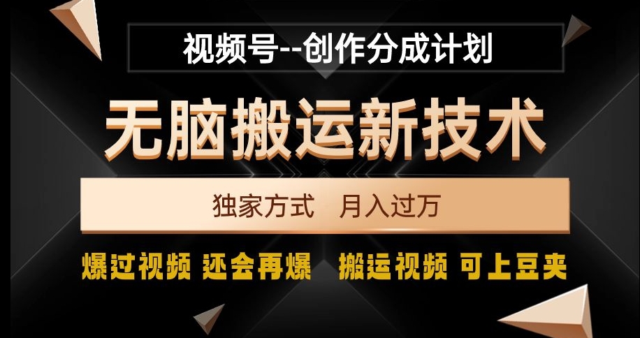 视频号无脑搬运新技术，破原创壕流量，独家方式，爆过视频，还会再爆【揭秘】-甬战资源库