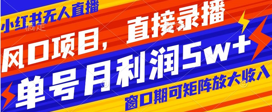 风口项目，小红书无人直播带货，直接录播，可矩阵，月入5w+【揭秘】-甬战资源库