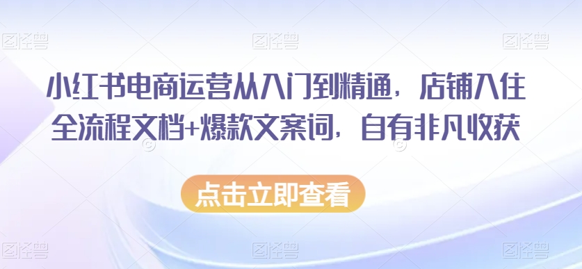 小红书电商运营从入门到精通，店铺入住全流程文档+爆款文案词，自有非凡收获-甬战资源库