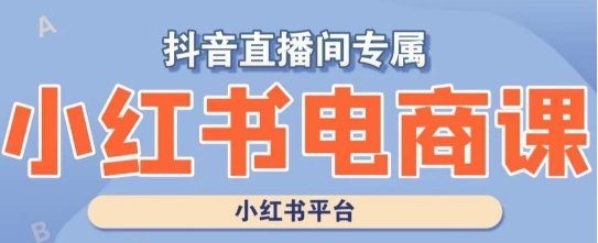小红书电商高级运营课程，实操教学+案例分析-甬战资源库