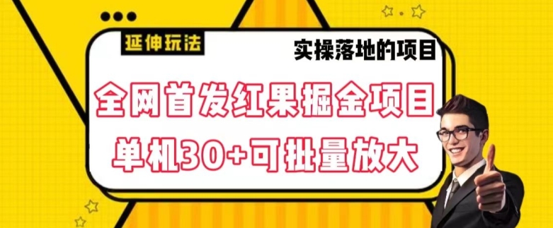 全网首发红果免费短剧掘金项目，单机30+可批量放大【揭秘】-甬战资源库