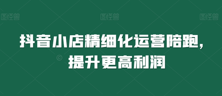 抖音小店精细化运营陪跑，提升更高利润-甬战资源库
