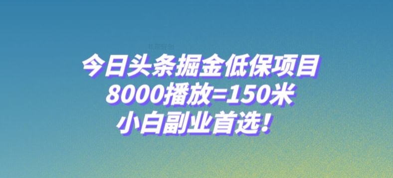 今日头条掘金低保项目，8000播放=150米，小白副业首选【揭秘】-甬战资源库