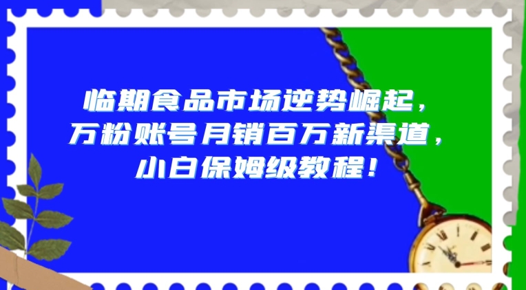 临期食品市场逆势崛起，万粉账号月销百万新渠道，小白保姆级教程【揭秘】-甬战资源库