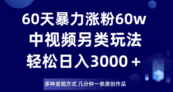 60天暴力涨粉60W，中视频另类玩法，日入3000＋，几分钟一条原创作品多种变现方式-甬战资源库