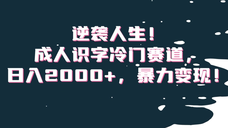 逆袭人生！成人识字冷门赛道，日入2000+，暴力变现！【揭秘】-甬战资源库