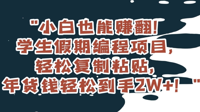 小白也能赚翻！学生假期编程项目，轻松复制粘贴，年货钱轻松到手2W+【揭秘】-甬战资源库