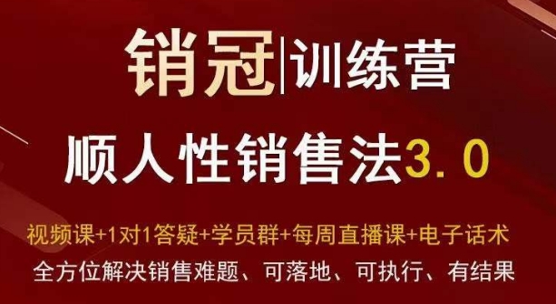爆款！销冠训练营3.0之顺人性销售法，全方位解决销售难题、可落地、可执行、有结果-甬战资源库