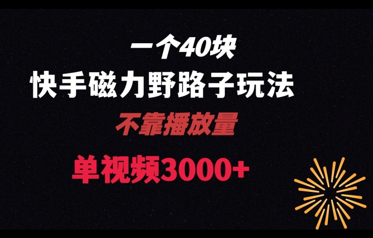 一个40块，快手联合美团磁力新玩法，无视机制野路子玩法，单视频收益4位数【揭秘】-甬战资源库
