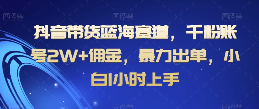 抖音带货蓝海赛道，千粉账号2W+佣金，暴力出单，小白1小时上手【揭秘】-甬战资源库