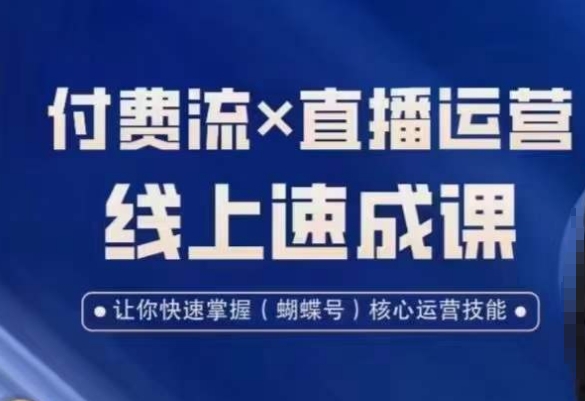 视频号付费流实操课程，付费流✖️直播运营速成课，让你快速掌握视频号核心运营技能-甬战资源库