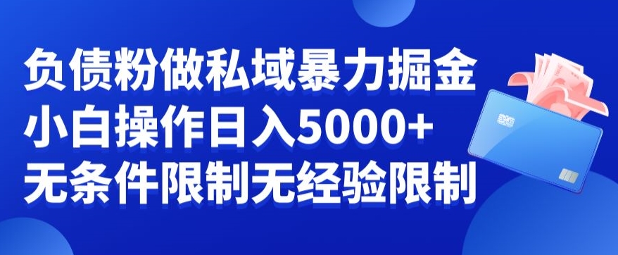 负债粉私域暴力掘金，小白操作入5000，无经验限制，无条件限制【揭秘】-甬战资源库