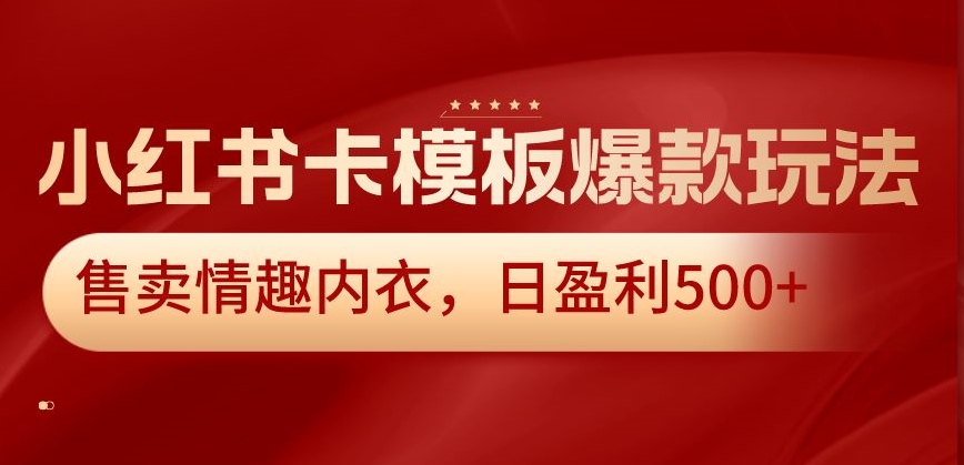 小红书卡模板爆款玩法，售卖情趣内衣，日盈利500+【揭秘】-甬战资源库