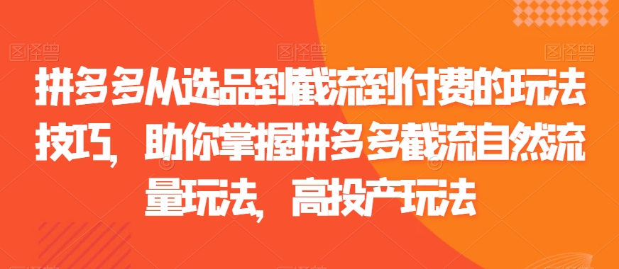 拼多多从选品到截流到付费的玩法技巧，助你掌握拼多多截流自然流量玩法，高投产玩法-甬战资源库