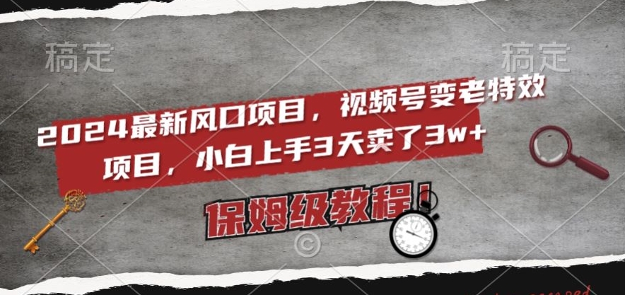 2024最新风口项目，视频号变老特效项目，电脑小白上手3天卖了3w+，保姆级教程【揭秘】-甬战资源库