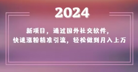 2024新项目，通过国外社交软件，快速涨粉精准引流，轻松做到月入上万【揭秘】-甬战资源库