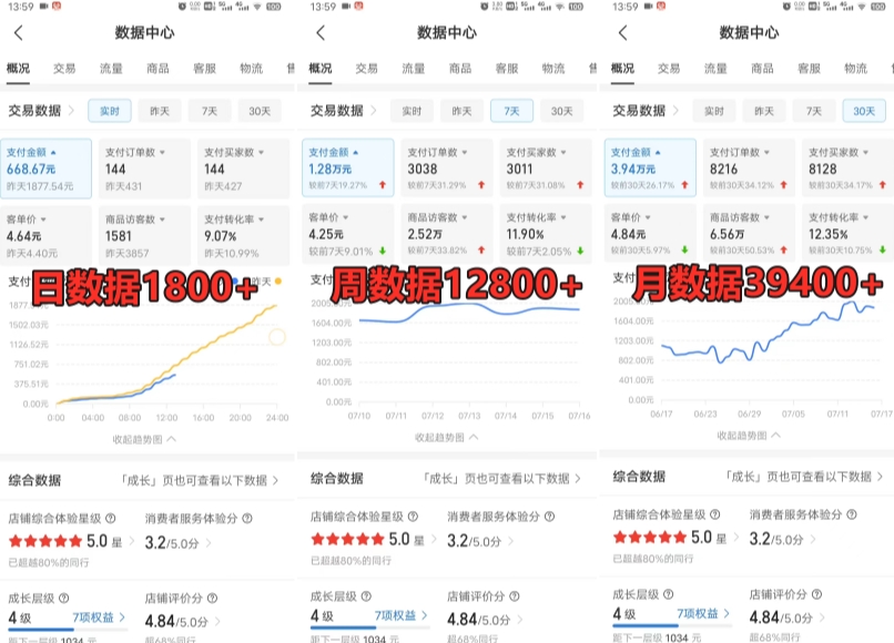 拼多多虚拟电商训练营月入30000+你也行，暴利稳定长久，副业首选-甬战资源库