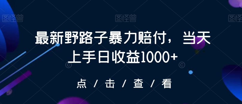最新野路子暴力赔付，当天上手日收益1000+【仅揭秘】-甬战资源库