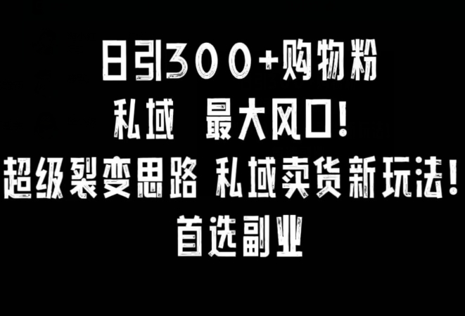 日引300+购物粉，超级裂变思路，私域卖货新玩法，小红书首选副业【揭秘】-甬战资源库