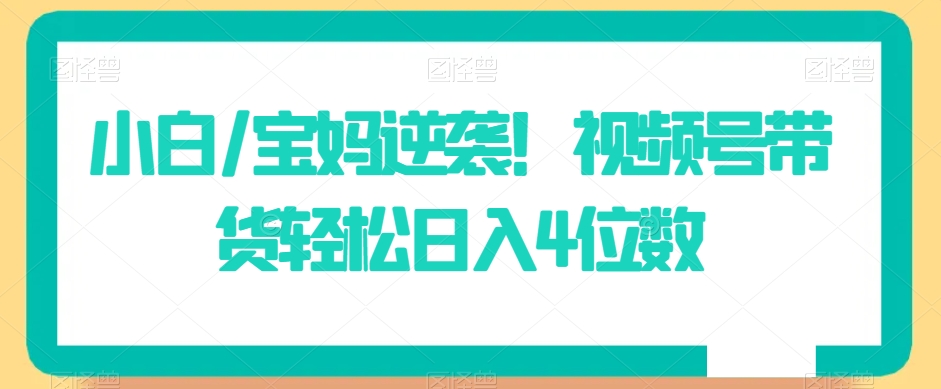 小白/宝妈逆袭！视频号带货轻松日入4位数【揭秘】-甬战资源库