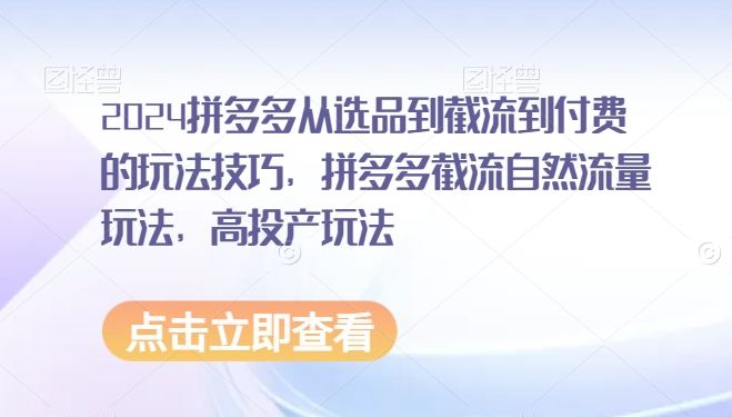 2024拼多多从选品到截流到付费的玩法技巧，拼多多截流自然流量玩法，高投产玩法-甬战资源库