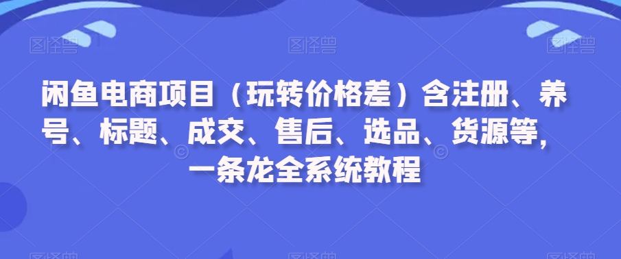 闲鱼电商项目（玩转价格差）含注册、养号、标题、成交、售后、选品、货源等，一条龙全系统教程-甬战资源库