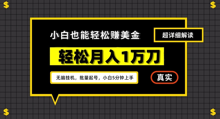谷歌看广告撸美金2.0，无脑挂机，多号操作，月入1万刀【揭秘】-甬战资源库
